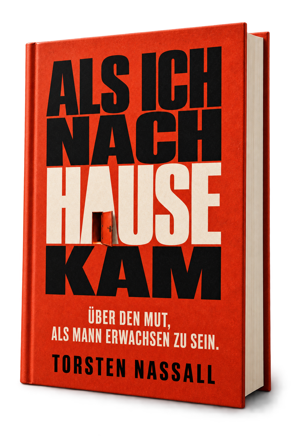 Buch Als ich nach Hause kam von Torsten Nassall